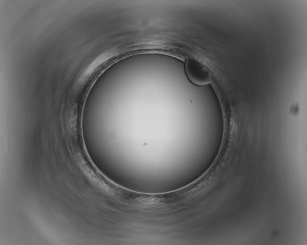 X0000116821450200912181356