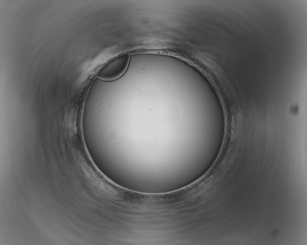 X0000116821451200912181356