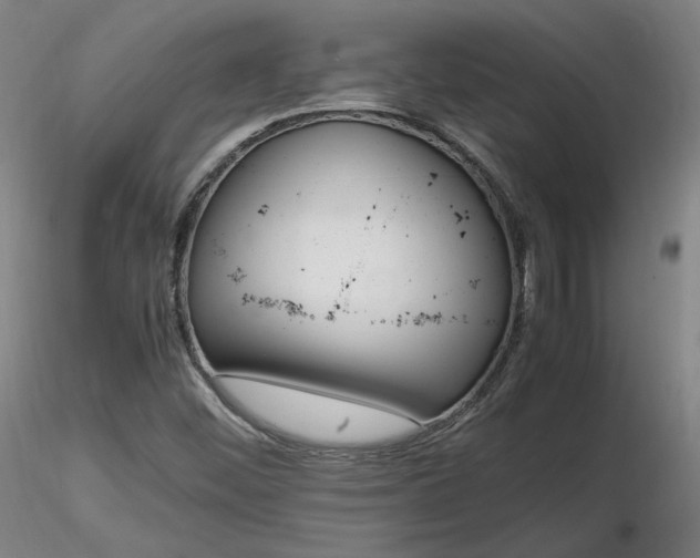 X0000116821452200912181356