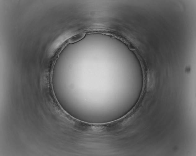 X0000116821453200912181356