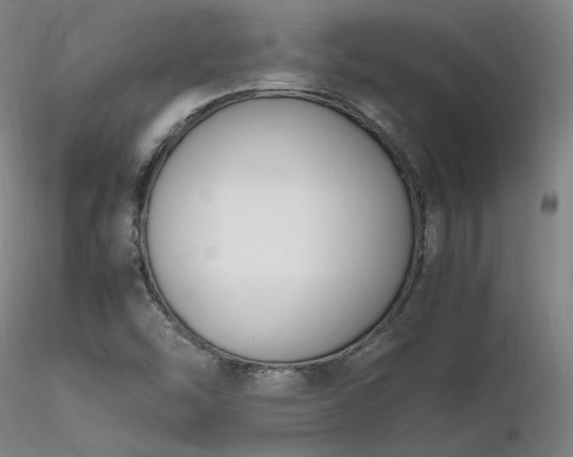 X0000116821454200912181356