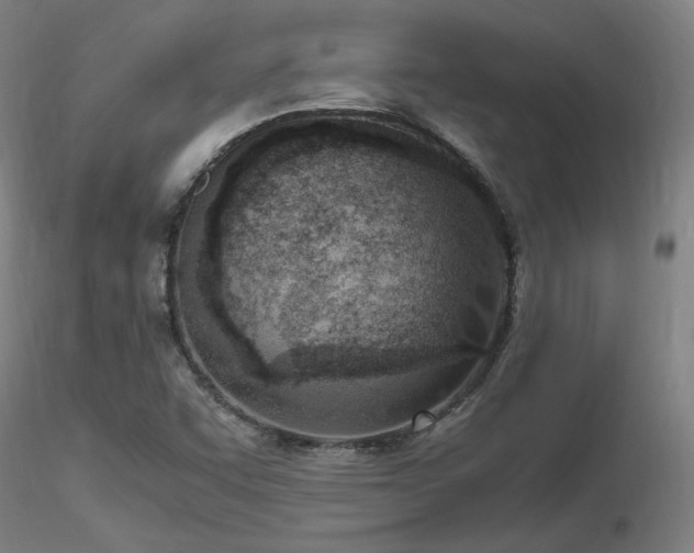 X0000116821455200912181356