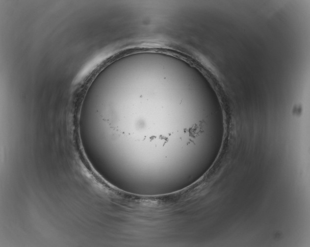 X0000116821456200912181356