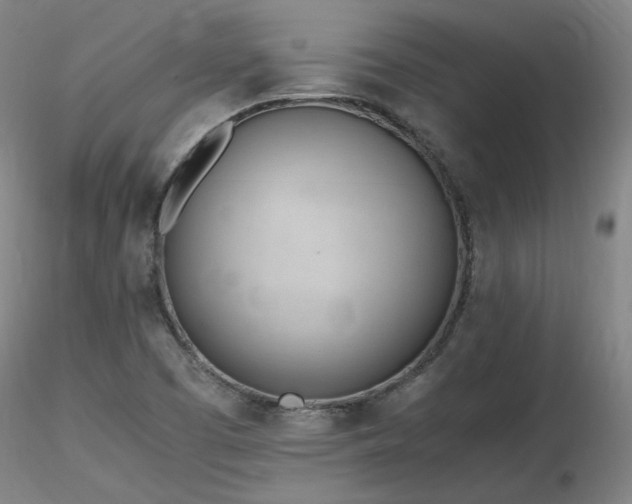 X0000116821457200912181356