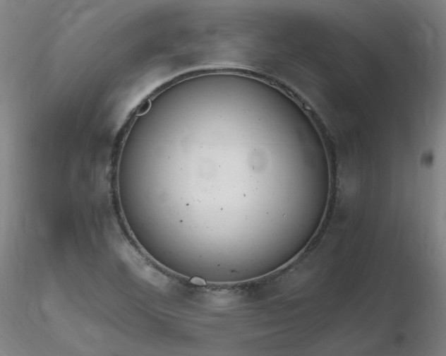 X0000116821460200912181356