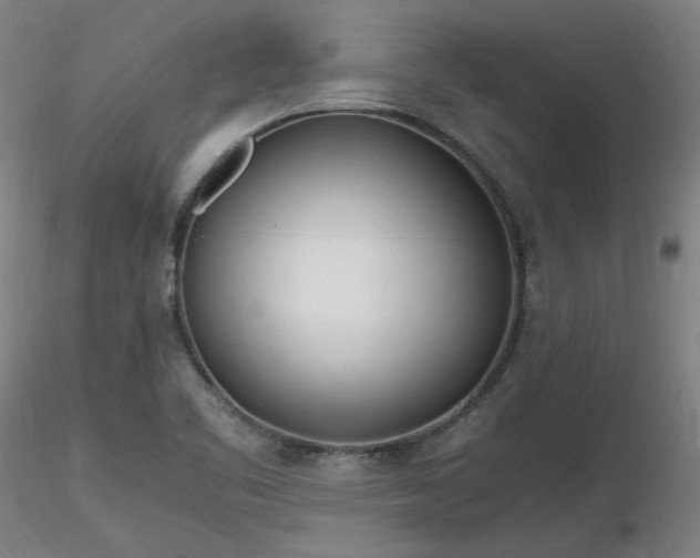 X0000116821461200912181356
