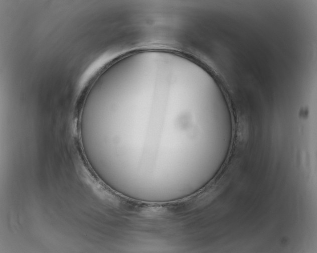 X0000116821462200912181356