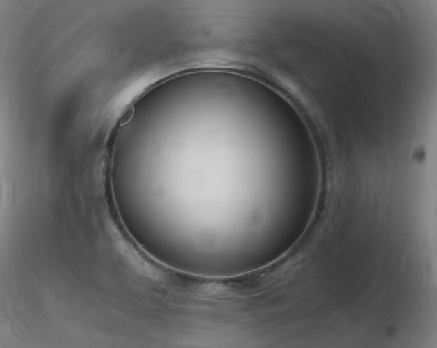 X0000116821463200912181356