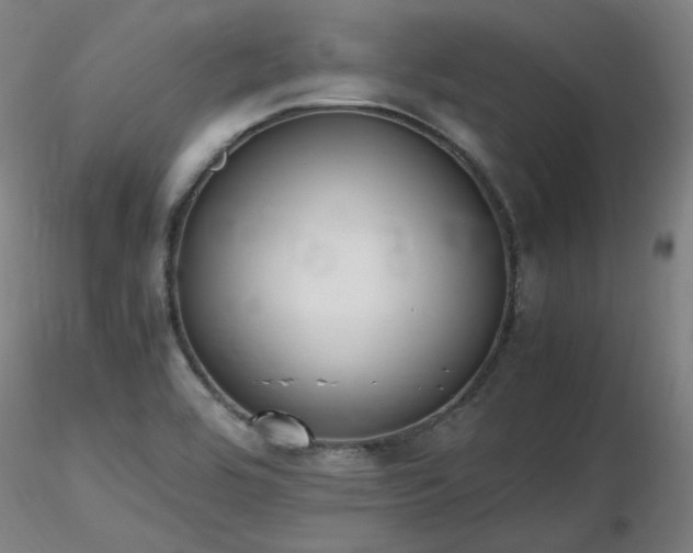 X0000116821464200912181356