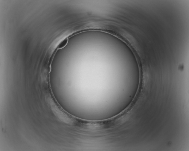 X0000116821465200912181356