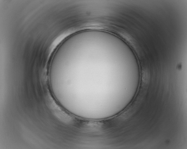 X0000116821466200912181356
