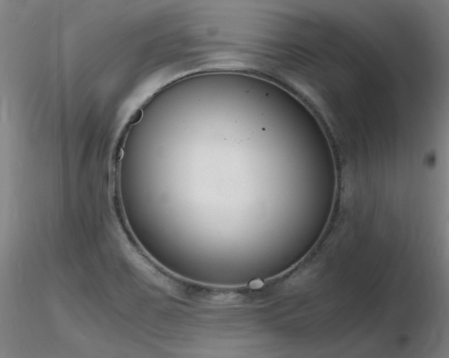 X0000116821467200912181356