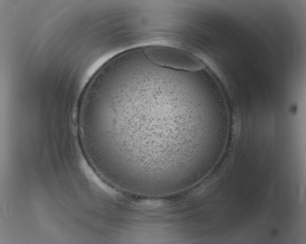 X0000116821468200912181356