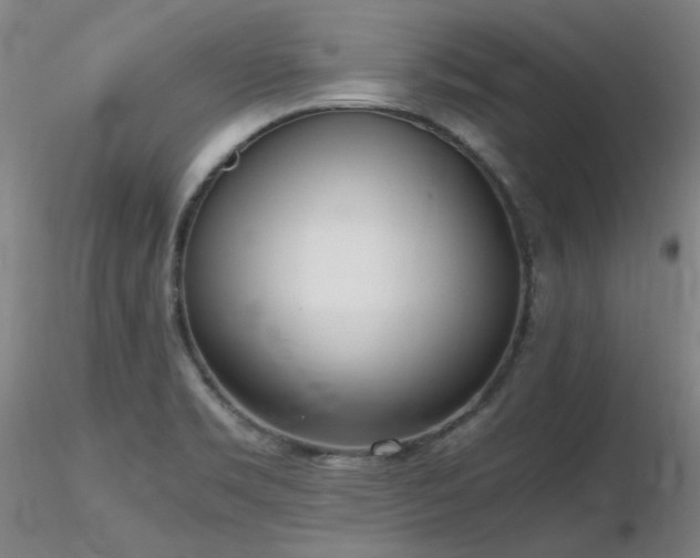 X0000116821469200912181356