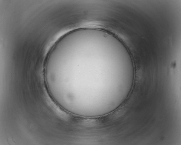 X0000116821470200912181356