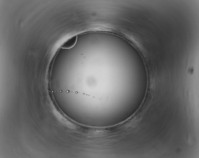 X0000116821471200912181356