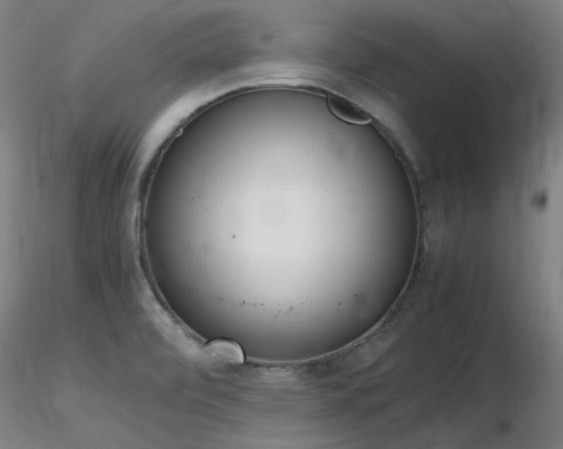 X0000116821472200912181356