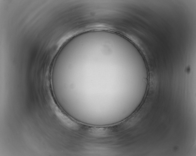 X0000116821474200912181356