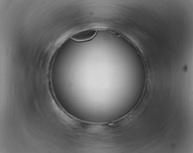 X0000116821475200912181356