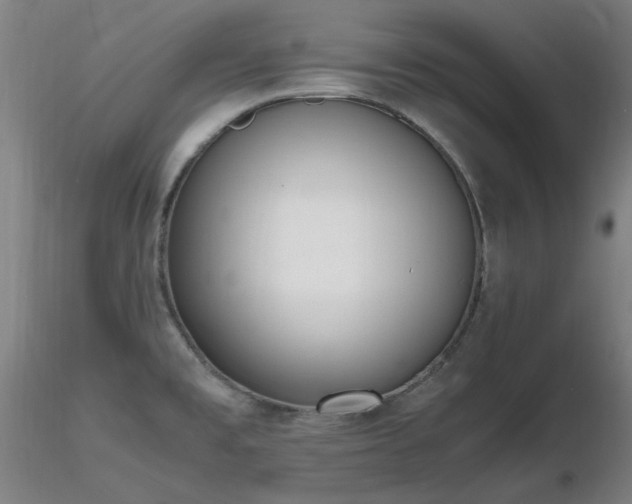 X0000116821477200912181356