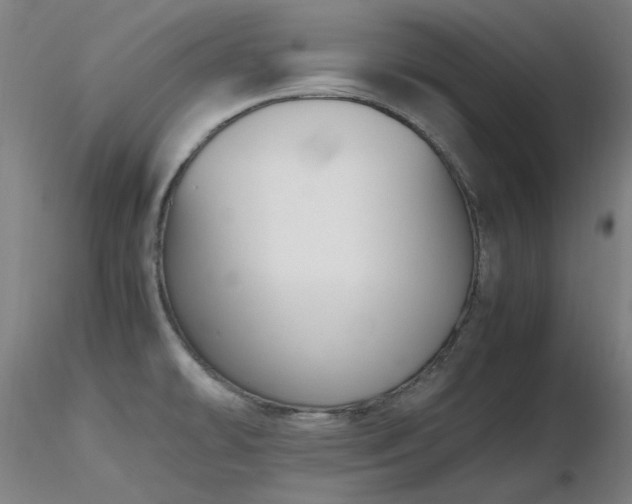 X0000116821478200912181356