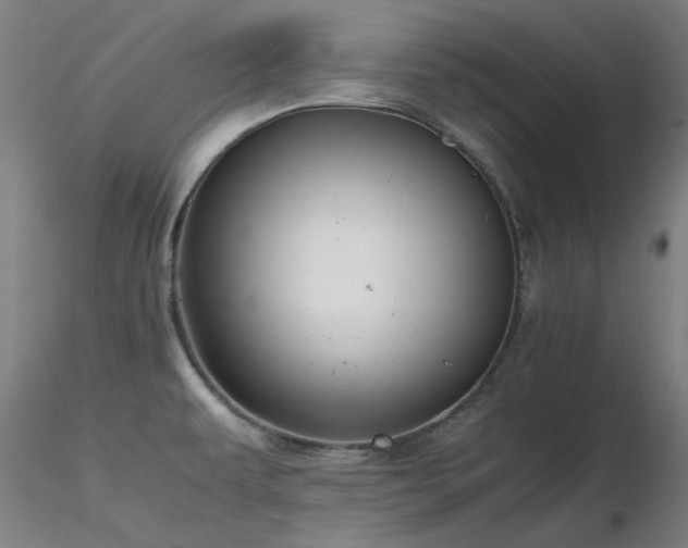 X0000116821479200912181356