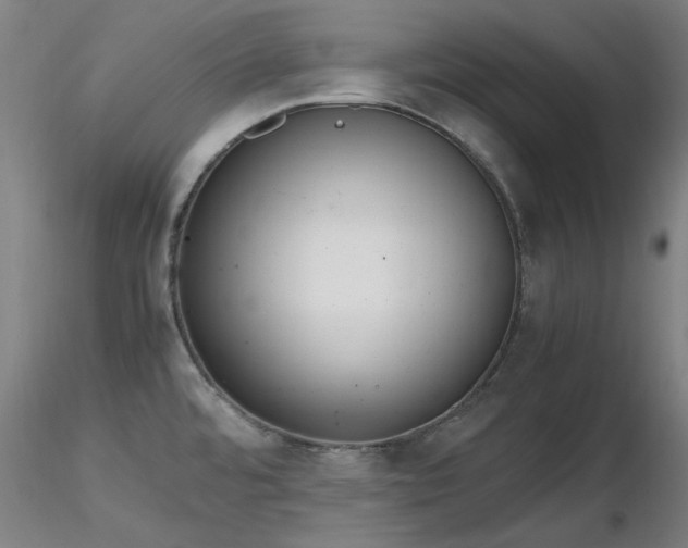 X0000116821480200912181356