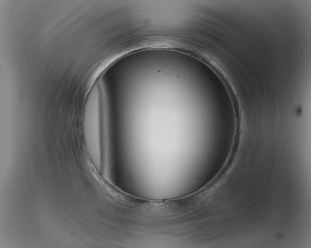 X0000116821481200912181356