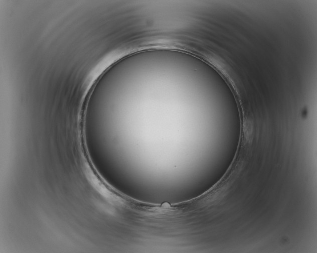 X0000116821482200912181356