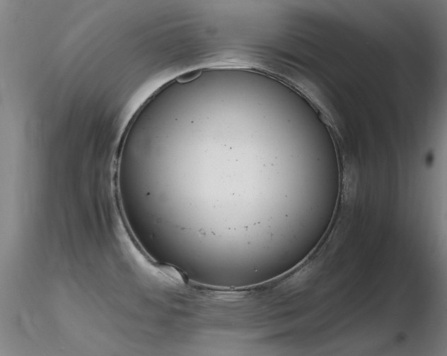 X0000116821484200912181356