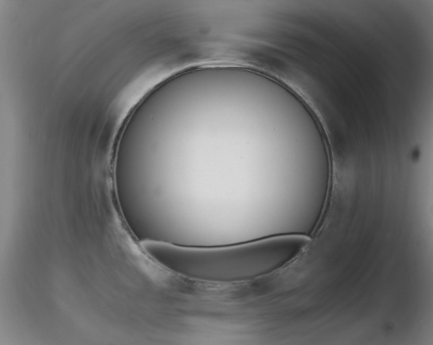 X0000116821485200912181356