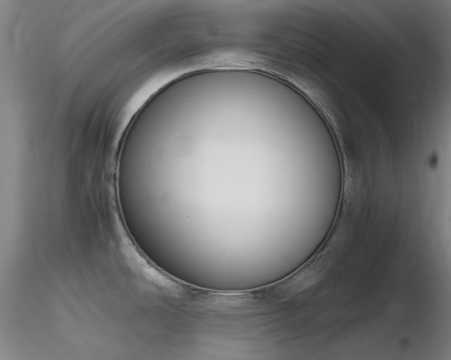 X0000116821486200912181356