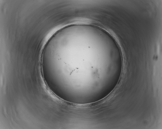 X0000116821488200912181356