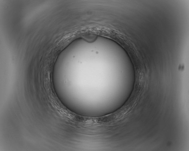 X0000116821489200912181355