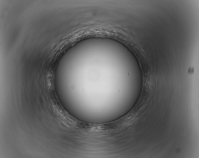 X0000116821490200912181355