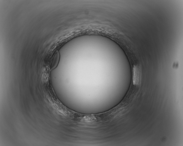 X0000116821491200912181355