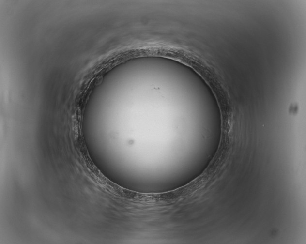 X0000116821493200912181355