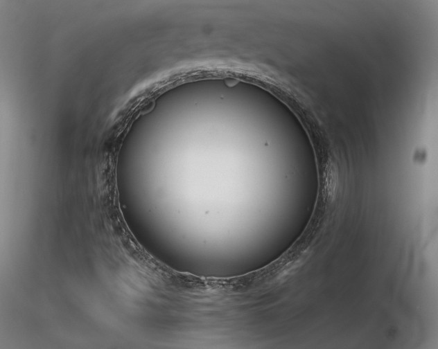 X0000116821494200912181355