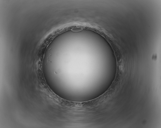 X0000116821495200912181355