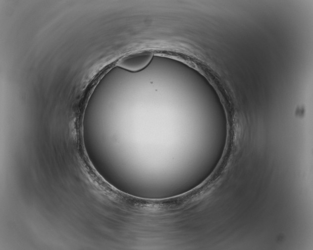 X0000116821497200912181355