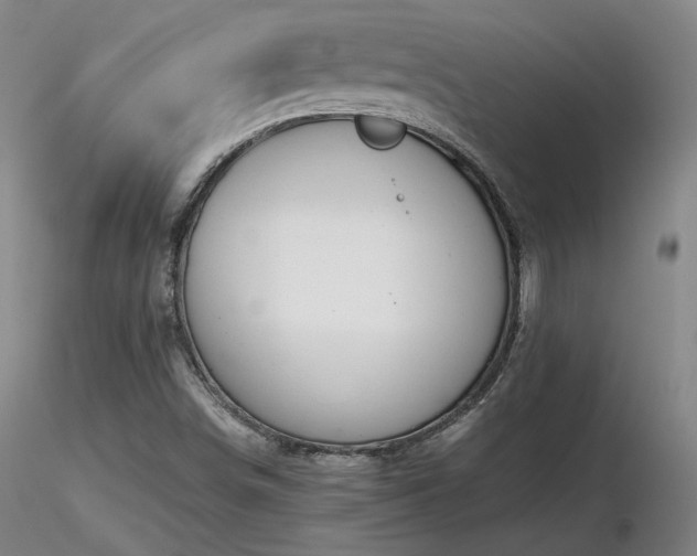 X0000116821498200912181355