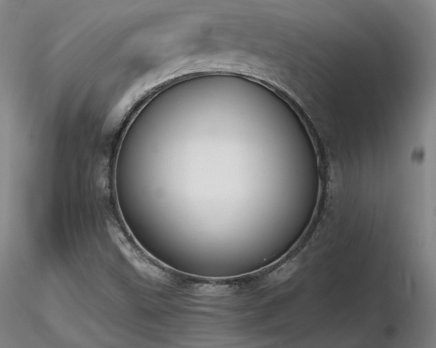 X0000116821499200912181355