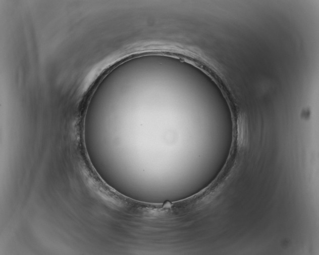 X0000116821501200912181355