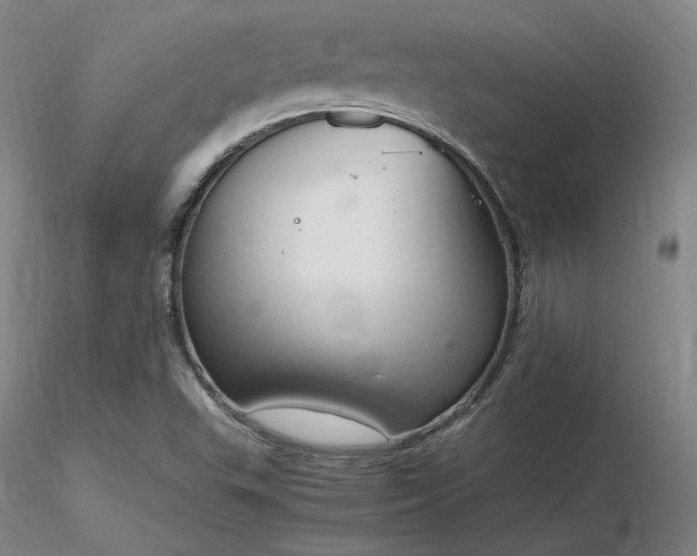 X0000116821503200912181355