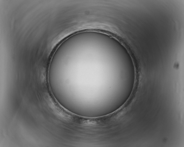 X0000116821505200912181356