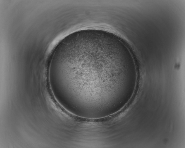 X0000116821506200912181356