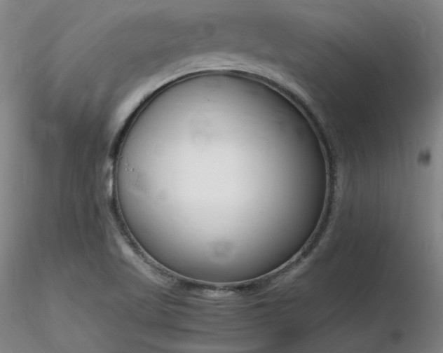 X0000116821509200912181356