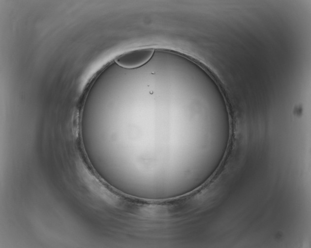 X0000116821510200912181356