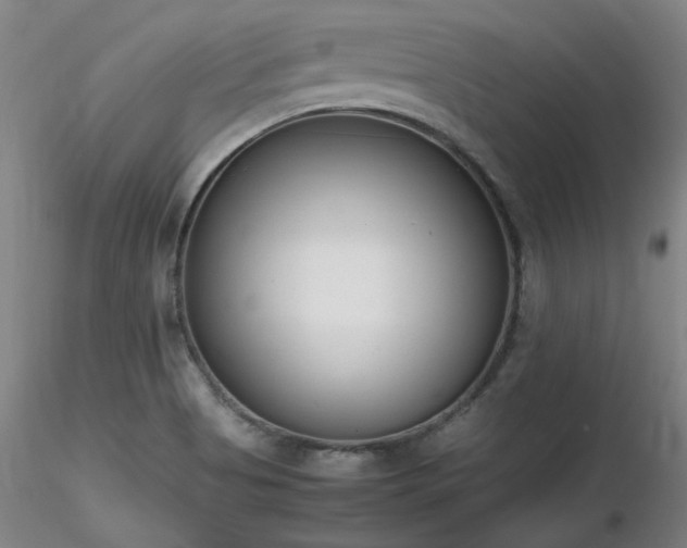 X0000116821513200912181356