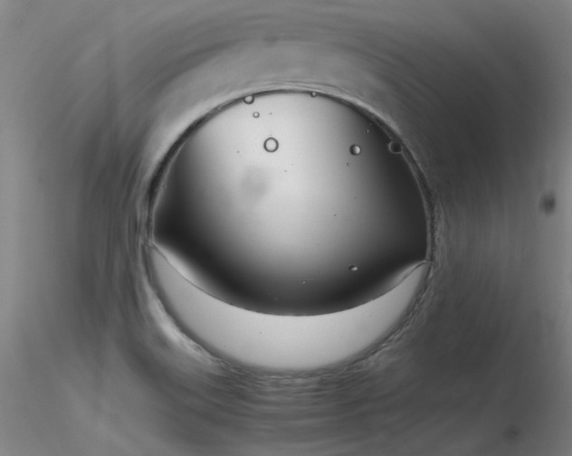 X0000116821515200912181356